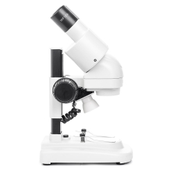 Додаткове зображення Мікроскоп SIGETA MS-249 20x LED Bino Stereo №1